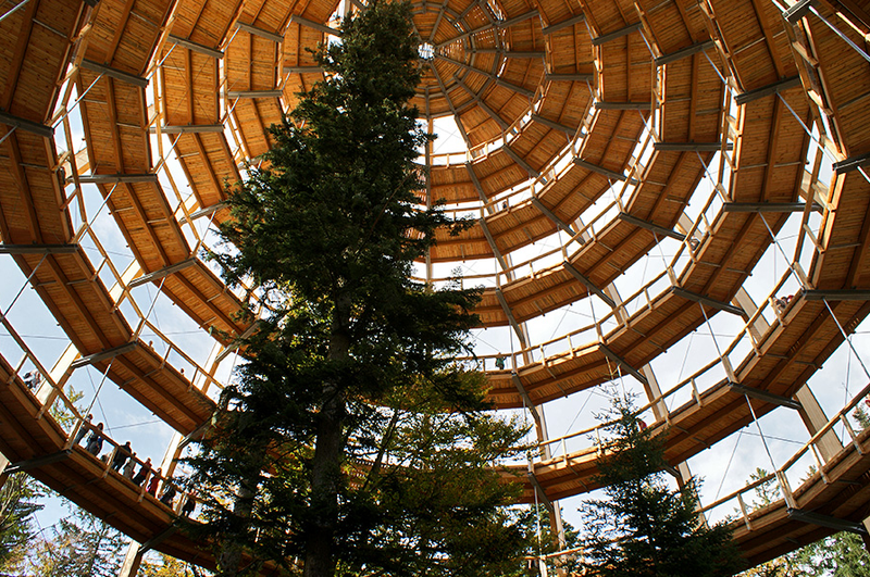 Illustration for article titled Germany's new 18-story Tree Top Walk is shaped like a giant egg